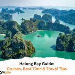 Halong Bay Guide Cruises, Best Time & Travel Tips