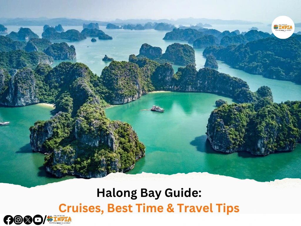 Halong Bay Guide Cruises, Best Time & Travel Tips