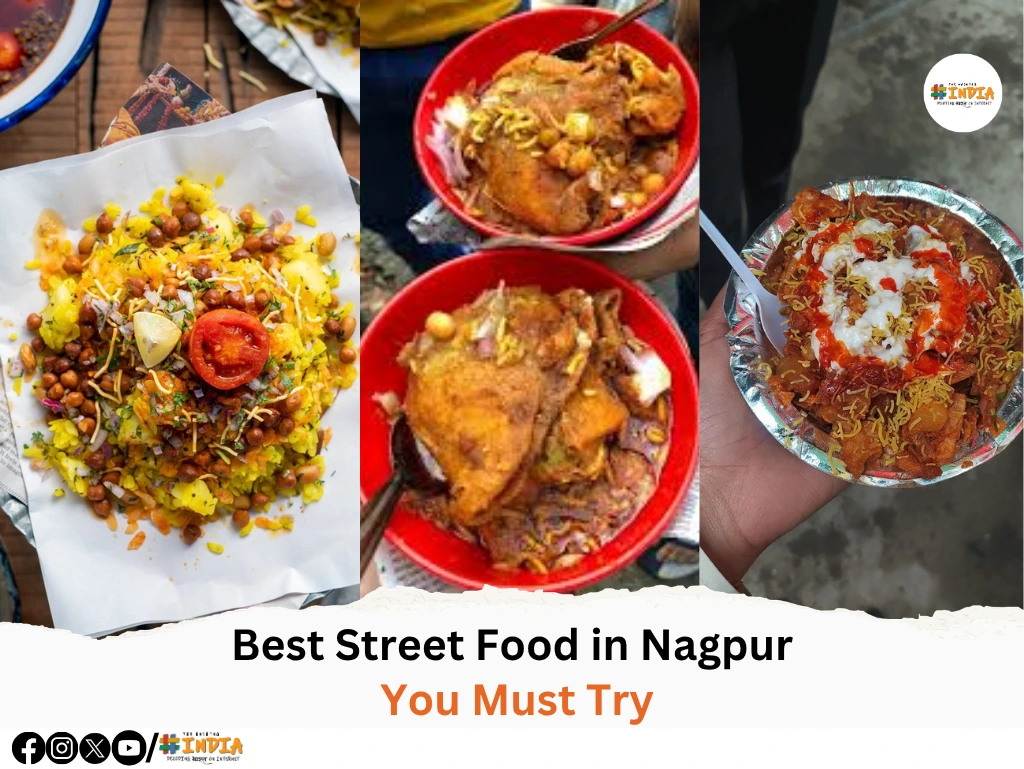 Best Street Food in Nagpur You Must Try