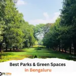 Best Parks & Green Spaces in Bengaluru