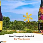 Best Vineyards in Nashik for Wine Lovers