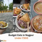 Budget Eats in Nagpur Under ₹300