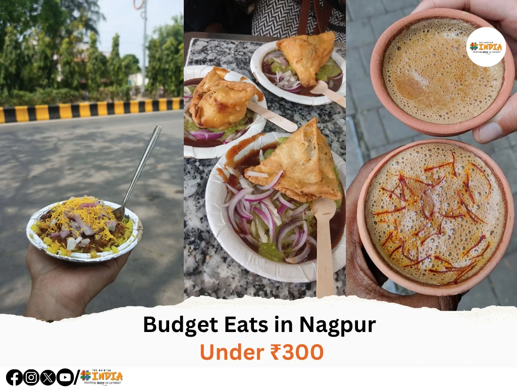 Budget Eats in Nagpur Under ₹300