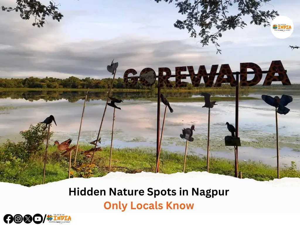 Hidden Nature Spots in Nagpur Only Locals Know