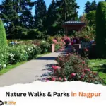 Nature Walks & Parks in Nagpur