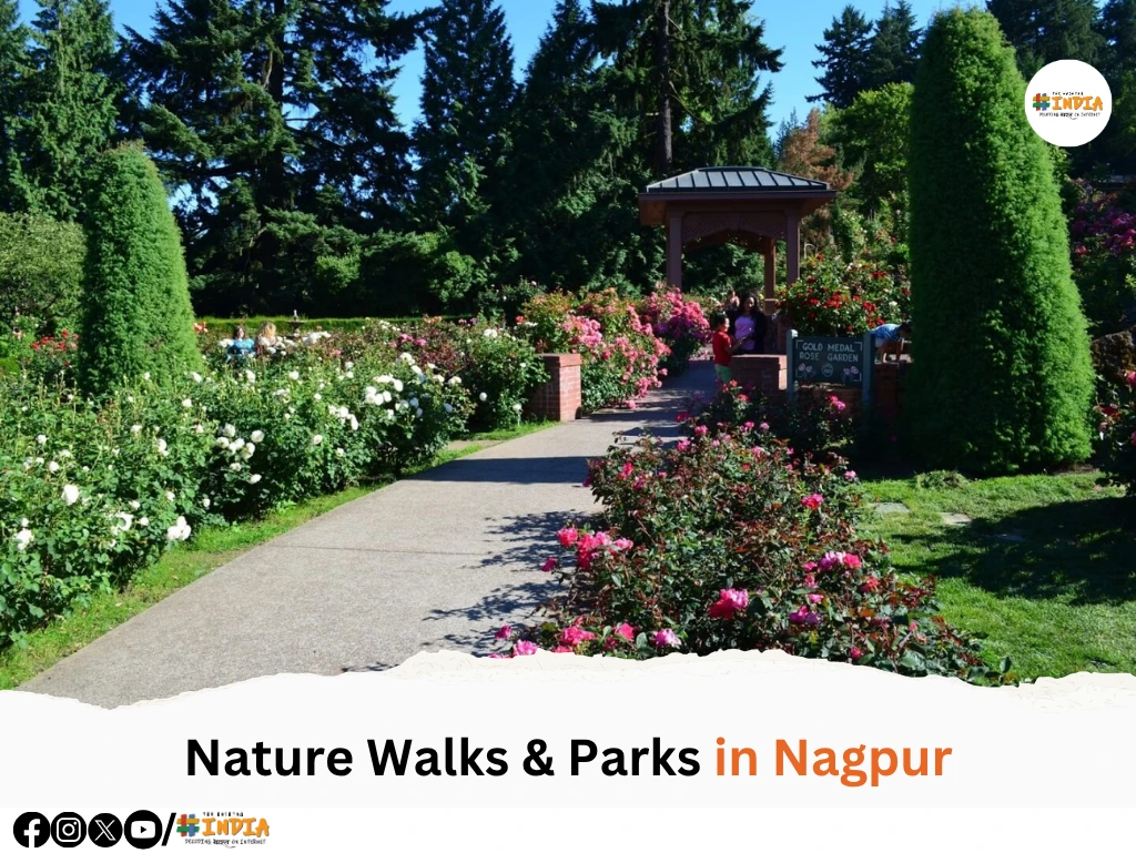 Nature Walks & Parks in Nagpur