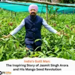 India's Gutli Man The Inspiring Story of Jasmit Singh Arora and His Mango Seed Revolution