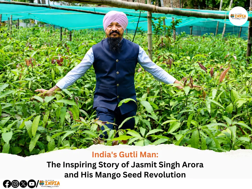 India's Gutli Man The Inspiring Story of Jasmit Singh Arora and His Mango Seed Revolution